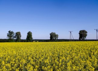 nowadeweloper_nowe inwestycje częstochowa (1).jpg